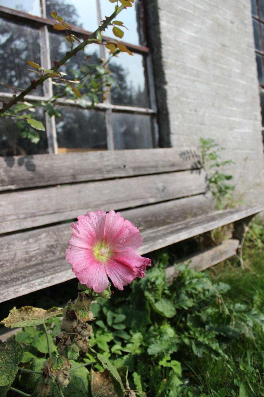 Bed and Breakfast Het Aambeeld Wanroij Exterior foto